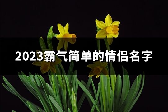 2023霸气简单的情侣名字(共190个)