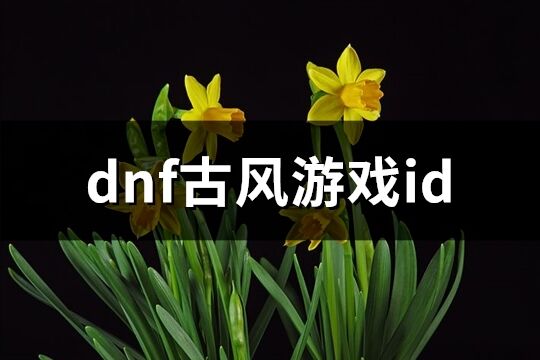 dnf古风游戏id(153个)