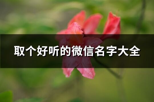 取个好听的微信名字大全(优选620个)