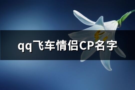 qq飞车情侣CP名字(共94个)