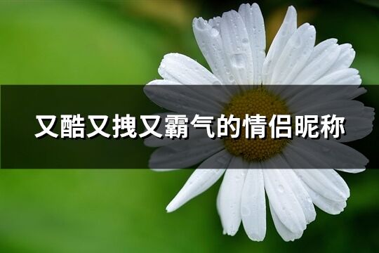 又酷又拽又霸气的情侣昵称(共64个)