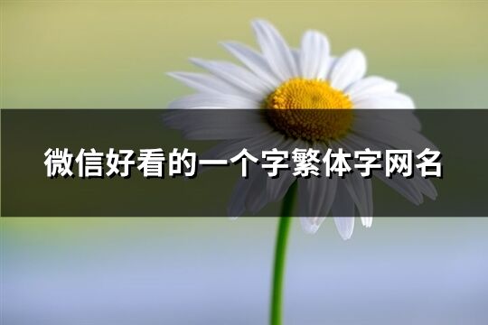 微信好看的一个字繁体字网名(35个)