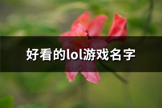 好看的lol游戏名字(189个)