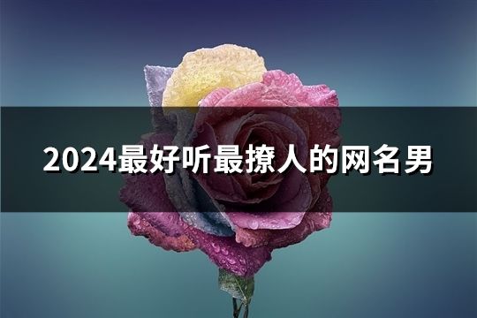 2024最好听最撩人的网名男(精选92个)