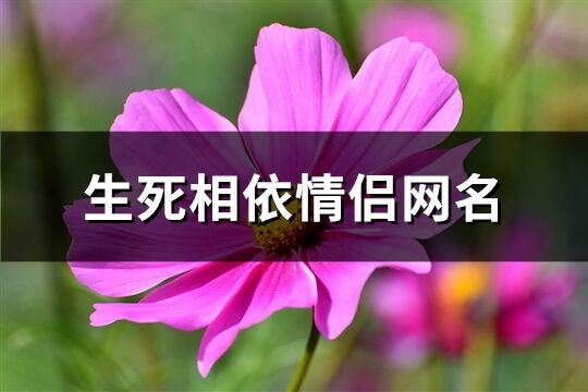 生死相依情侣网名(精选96个)