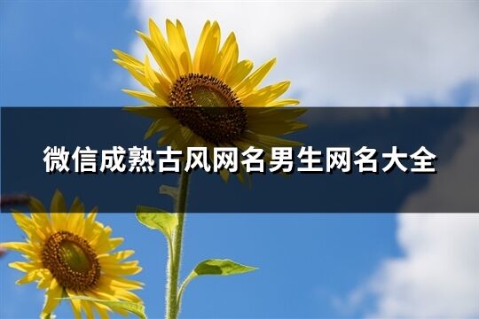 微信成熟古风网名男生网名大全(精选103个)