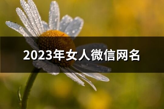 2023年女人微信网名(优选1366个)