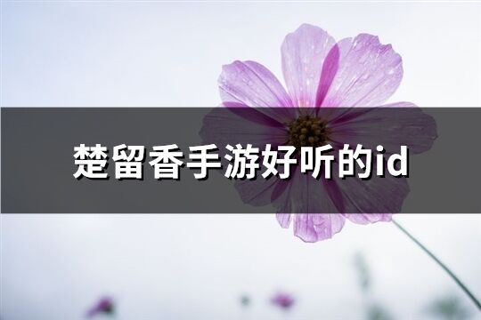 楚留香手游好听的id(共188个)