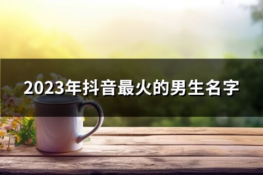 2023年抖音最火的男生名字(精选453个)