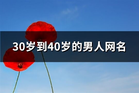 30岁到40岁的男人网名(共516个)