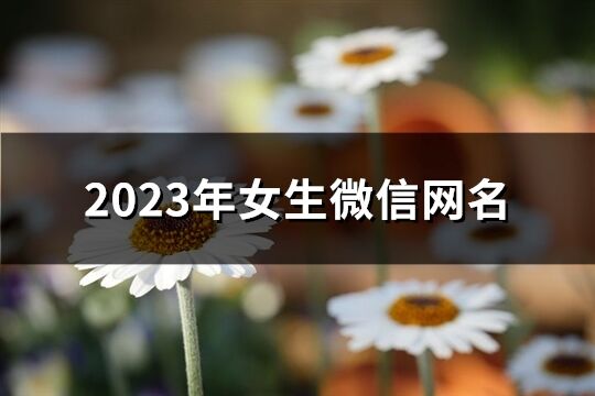 2023年女生微信网名(优选1500个)