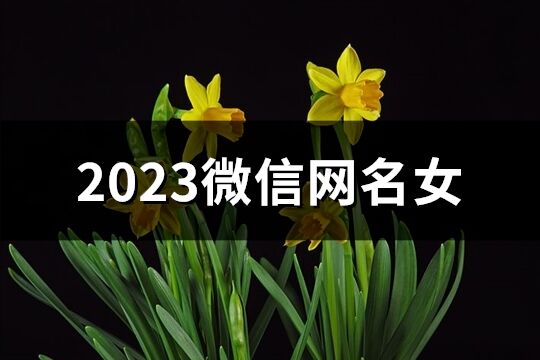 2023微信网名女(精选1413个)