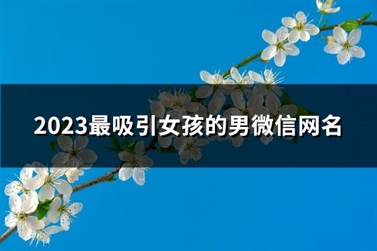 2023最吸引女孩的男微信网名(共406个)