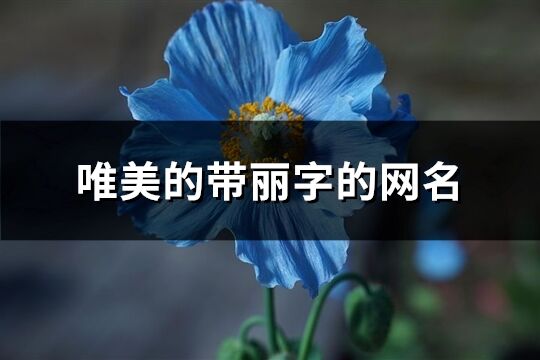 唯美的带丽字的网名(126个)