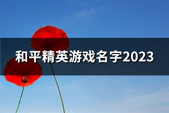 和平精英游戏名字2023(精选609个)