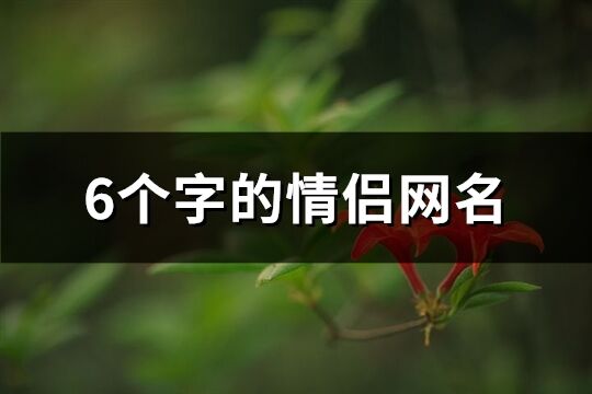 6个字的情侣网名(共194个)