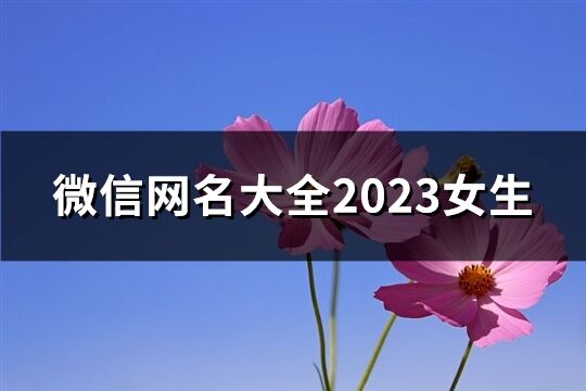 微信网名大全2023女生(精选1048个)