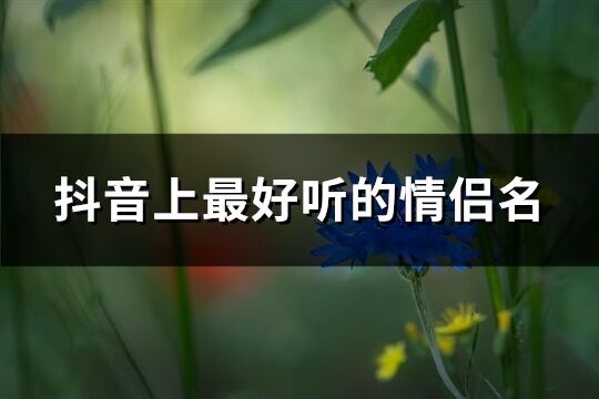 抖音上最好听的情侣名(共106个)