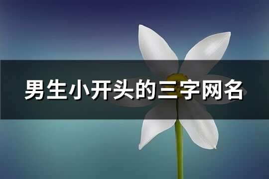 男生小开头的三字网名(精选375个)