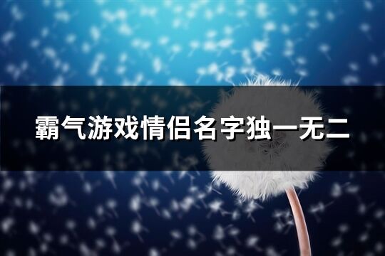 霸气游戏情侣名字独一无二(共167个)