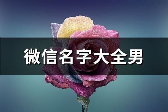 微信名字大全男(共336个)