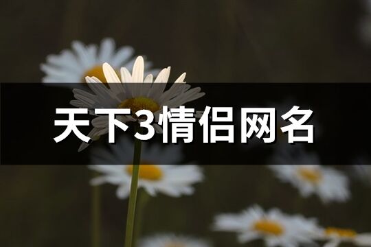 天下3情侣网名(共160个)