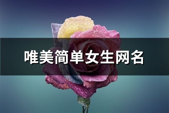 唯美简单女生网名(共713个)