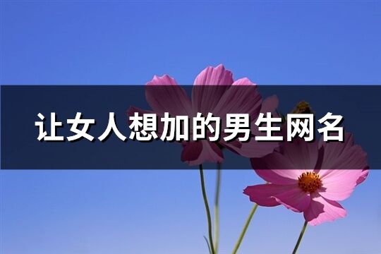 让女人想加的男生网名(共225个)