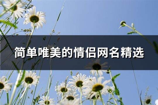 简单唯美的情侣网名精选(精选105个)