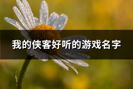 我的侠客好听的游戏名字(精选153个)