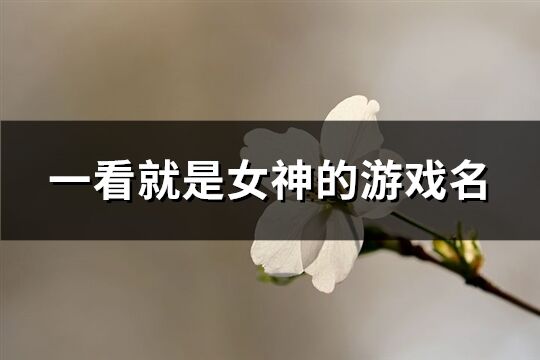 一看就是女神的游戏名(共496个)