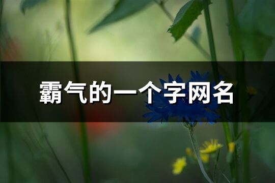 霸气的一个字网名(138个)