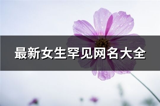 最新女生罕见网名大全(共395个)