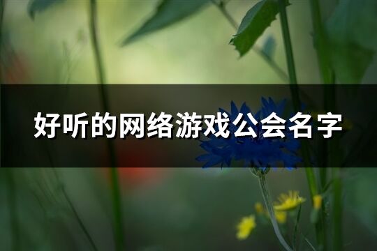 好听的网络游戏公会名字(精选290个)