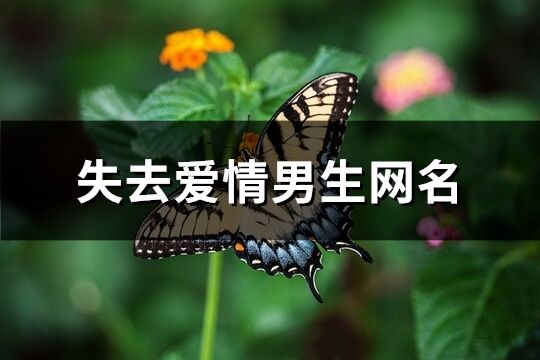 失去爱情男生网名(精选142个)