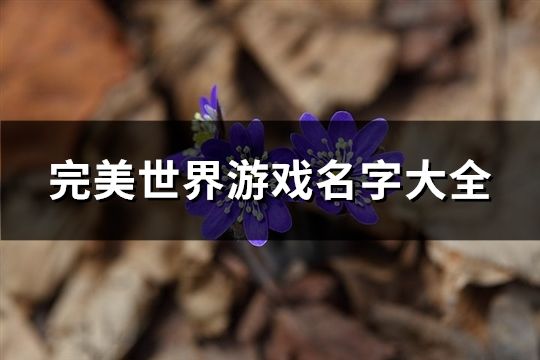 完美世界游戏名字大全(638个)