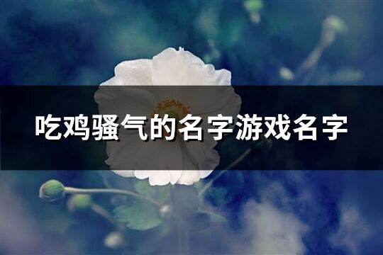 吃鸡骚气的名字游戏名字(209个)