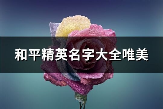 和平精英名字大全唯美(900个)