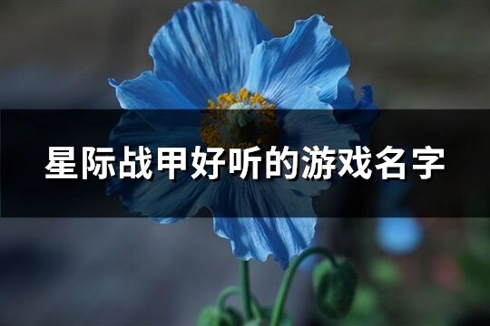 星际战甲好听的游戏名字(共231个)