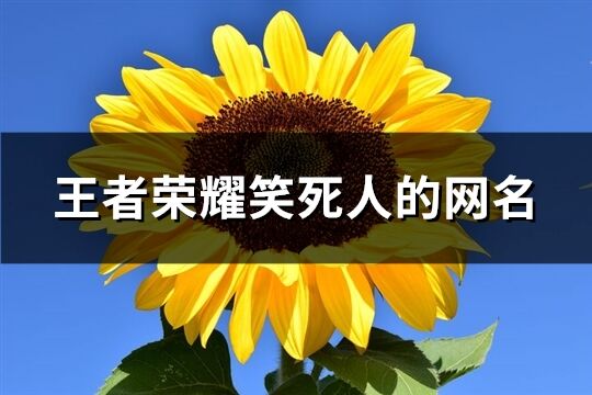 王者荣耀笑死人的网名(精选117个)