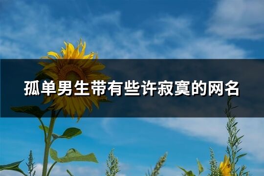 孤单男生带有些许寂寞的网名(精选375个)