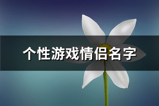 个性游戏情侣名字(共282个)