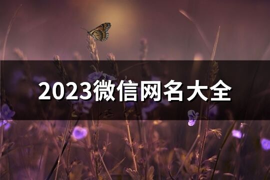 2023微信网名大全(共1062个)