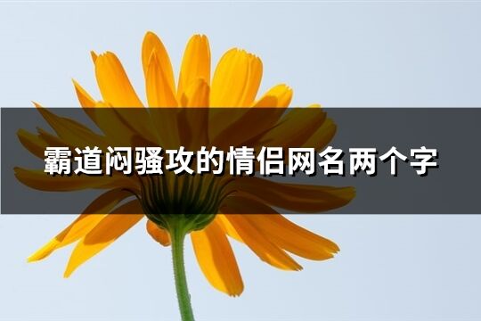 霸道闷骚攻的情侣网名两个字(共388个)