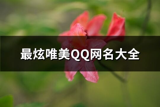 最炫唯美QQ网名大全(293个)