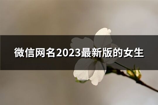 微信网名2023最新版的女生(2757个)