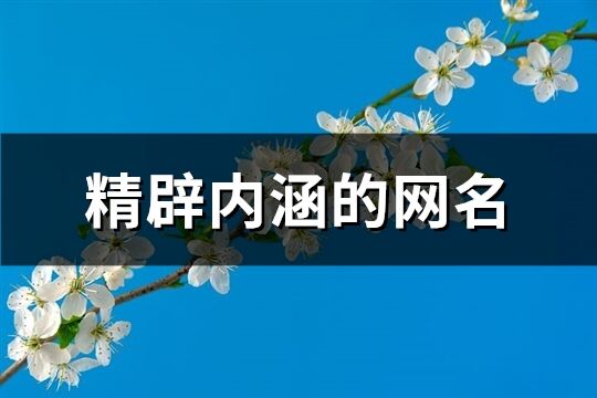 精辟内涵的网名(共170个)