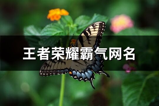 王者荣耀霸气网名(共212个)