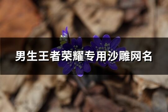 男生王者荣耀专用沙雕网名(精选175个)