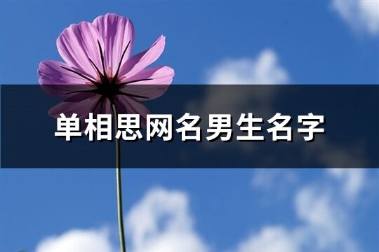 单相思网名男生名字(精选120个)